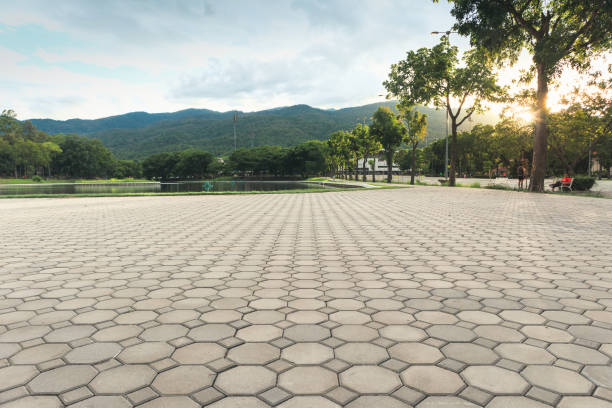 Best Professional Driveway Pavers  in Elkhart, KS